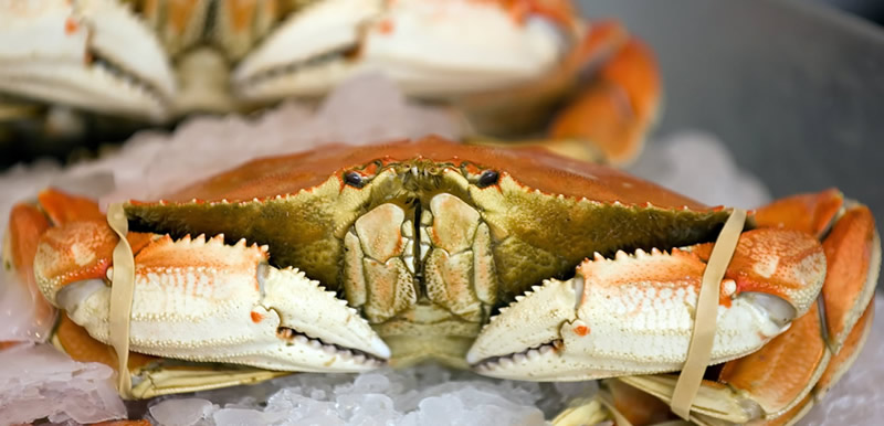 Fresh crab at the market